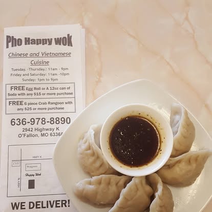Steamed potstickers with dipping sauce